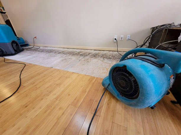 Professional Water Damage Repair technician working in Fort Recovery, OH